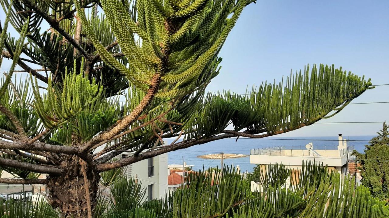 Seaside Kaki Thalassa Keratea Екстериор снимка